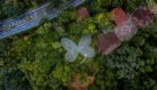 كولومبي يحول بيته إلى "جنة نباتية"