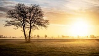 توقعات بارتفاع جديد في الحرارة حتى عام 2024