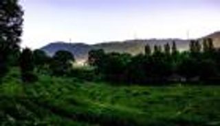 بسبب كورونا.. رقصة "سراج الليل" المضيئة في اليابان "بلا جمهور" 