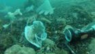 كورونا يصيب 7 أنهار أوروبية