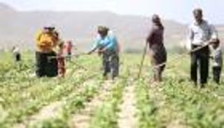 موجة غلاء جديدة تضرب تركيا.. أردوغان يجني ثمار "التخبط"