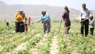 بعد السلع.. الغلاء يطال أسعار المنتجات الزراعية في تركيا