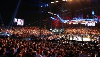الفنون القتالية المختلطة UFC