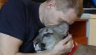 بعد هروبه معها.. حبيب الـ"بوما" يسلم الأسد لحديقة الحيوان