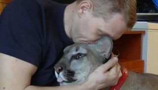 الجندي مع أسد من نوع "بوما" 