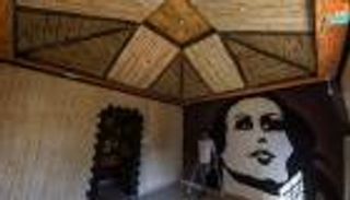 فلسطيني يحول جدران المنازل للوحات فنية.. إبداع يتحدى البتر