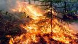 الحرائق تلتهم آلاف الهكتارات بغابات سيبيريا