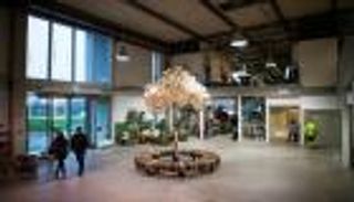 صغير لكنه ليس تقليديا.. سر دخول هذا المتجر السويدي في موسوعة جينيس 