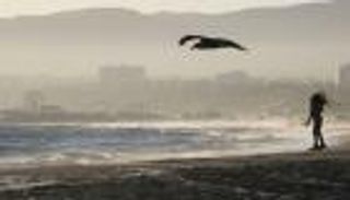 مفارقات كورونا.. دول العالم تتهرب من استقبال السياح الأمريكيين