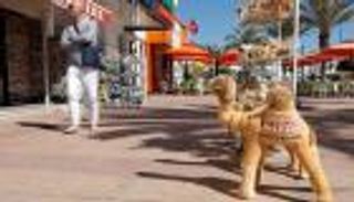 كيف استقبلت تونس أول رحلة سياحية بعد كورونا؟