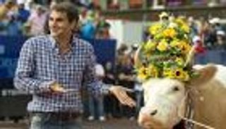 من بقرة فيدرر لأسد جوميز.. هدايا مجنونة في عالم الرياضة