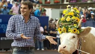 نجم التنس السويسري روجيه فيدرر وبقرته