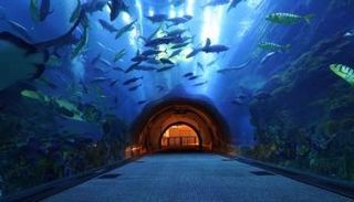  100 وجهة من أفضل الفنادق والمنتجعات ضمن حملة اكتشف دبي