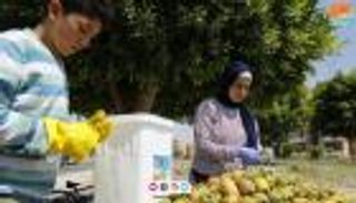 كفاح على عربة تين.. "العين الإخبارية" تقضي يوما مع طالبة الطيران المصرية