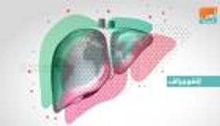 إنفوجراف.. اليوم العالمي لالتهاب الكبد الوبائي