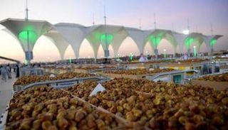 التمر السعودي من أجود الأنواع عالميا