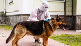 "بادي" عانى مشكلات في التنفس لمدة أسابيع