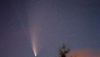 المذنب "نيووايز"