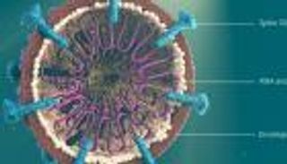 بداية كورونا.. 3 أسباب تنسف "نظرية المؤامرة"