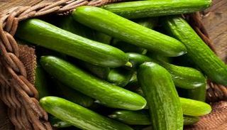 الخيار.. فوائد صحية لا حصر لها