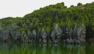 زلزال يضرب ولاية ميلا في الجزائر