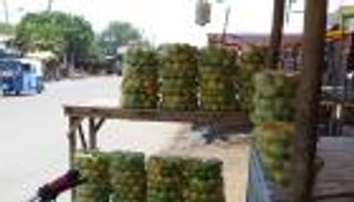 متهارا الإثيوبية.. مدينة الفاكهة والسكر  