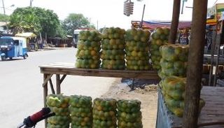 مدينة متهارا تشتهر بزراعة البرتقال