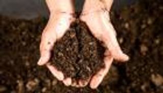 نترات الأمونيوم.. ما يسبب الدمار يصنع الحياة