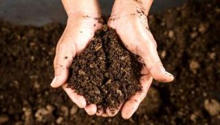 مادة نترات الأمونيوم يمكن استخدامها كسماد زراعي