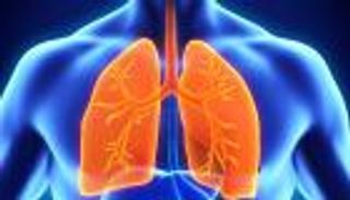 تنظيف الرئتين.. خطوات بسيطة تقي من أمراض خطيرة
