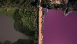 حيرة في باراجواي بسبب نصف البحيرة الأرجواني