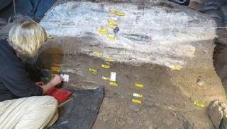 صورة من داخل الكهف الواقع على حدود جنوب أفريقيا