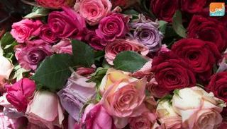 إحدى باقات الزهور التي يبيعها الطلاب في إثيوبيا