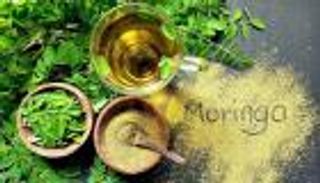 المورينجا.. ما سر تعدد فوائد "نبات المعجزات"؟