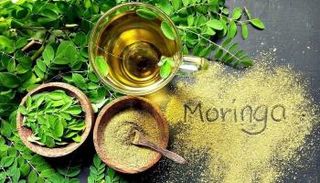 فوائد عديدة للمورينجا 