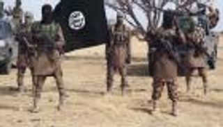 تحرير 11 رهينة من قبضة بوكو حرام بالنيجر