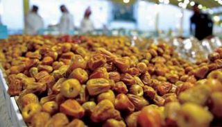 السعودية تزود العالم بـ 121 ألف طن من التمور في النصف الأول