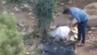 فيديو لوفاة مصري أثناء الصلاة في الشارع.. مات ساجدا