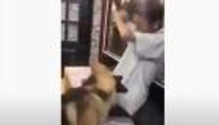 فيديو تنمر يُحرك الأمن المصري.. الضحية "معاق"