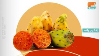 التين الشوكي يحمي الجسم من نزلات البرد