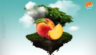 الخوخ يساعد على التخلص من تورم الساقين