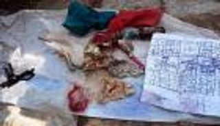 رأس قط وأرجل دجاج.. أعمال السحر المدفونة بمقابر مصر