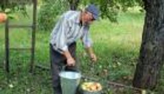 المزارعون الأتراك يحصدون البؤس في عهد أردوغان.. الانتحار أو الديون