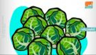 إنفوجراف.. 10 فوائد صحية لكرنب بروكسل