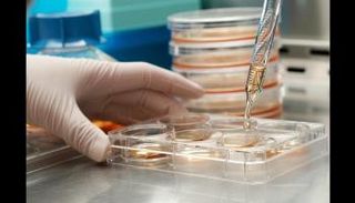  النتائج يمكن أن تقدم طرقًا جديدة للتعامل مع البكتيريا المعدية