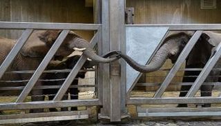 لحظة التقاء الأم بابنتها وحفيدتها