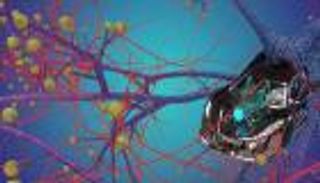 آلية تمنع تصادم السيارات والطائرات.. مستوحاة من الجراد