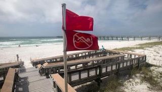 أعلام تحذيرية في خليج المكسيك - رويترز 