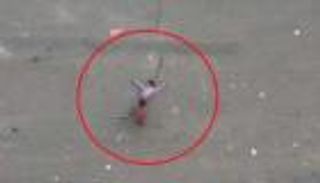 الحوثيون والإخوان والقاعدة.. ثالوث الإرهاب يتوحش باليمن