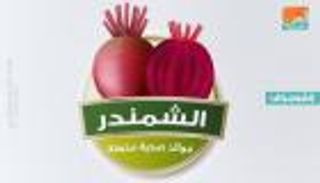 إنفوجراف.. الشمندر فوائد صحية مذهلة